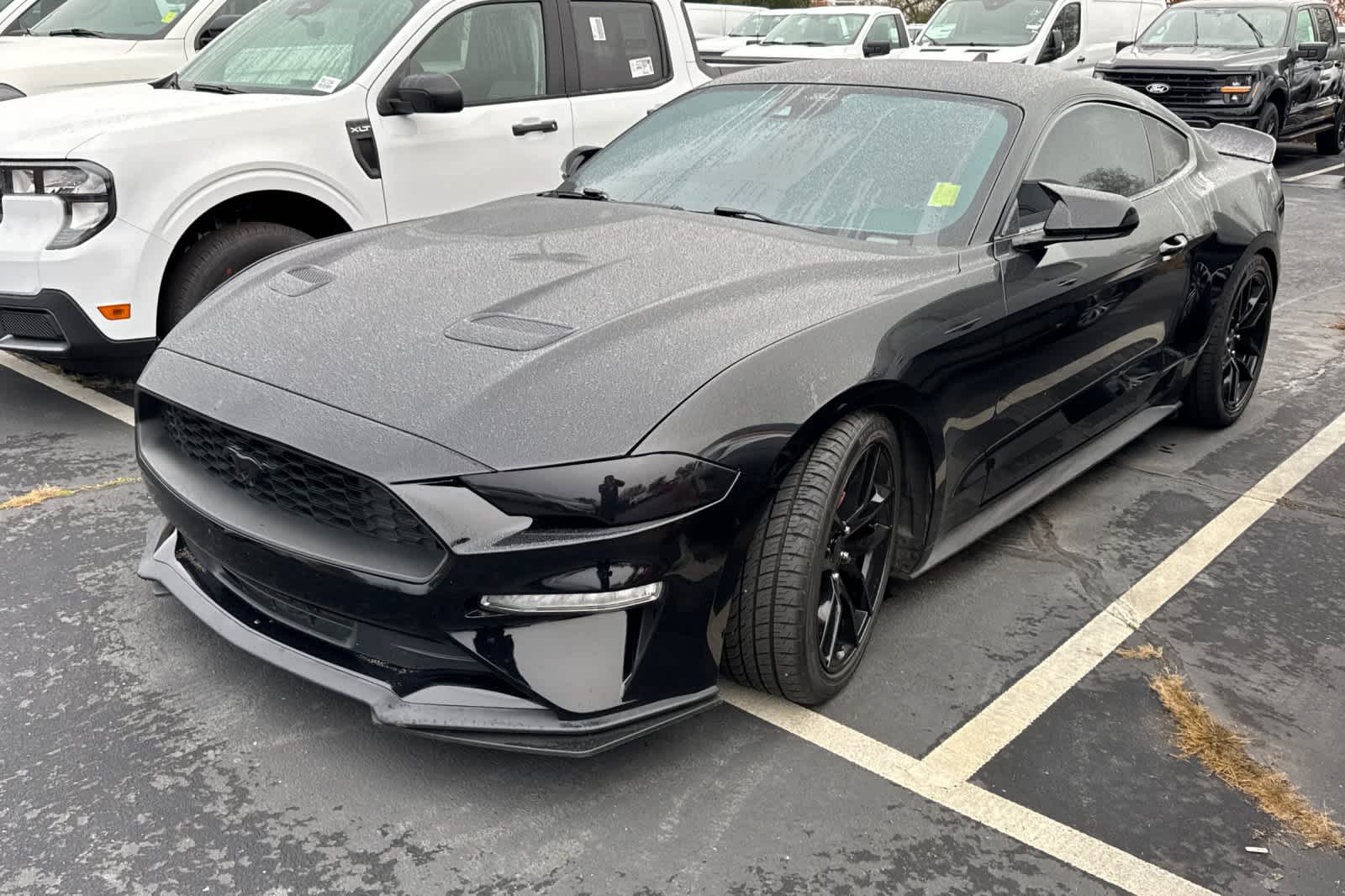 2022 Ford Mustang EcoBoost's photo