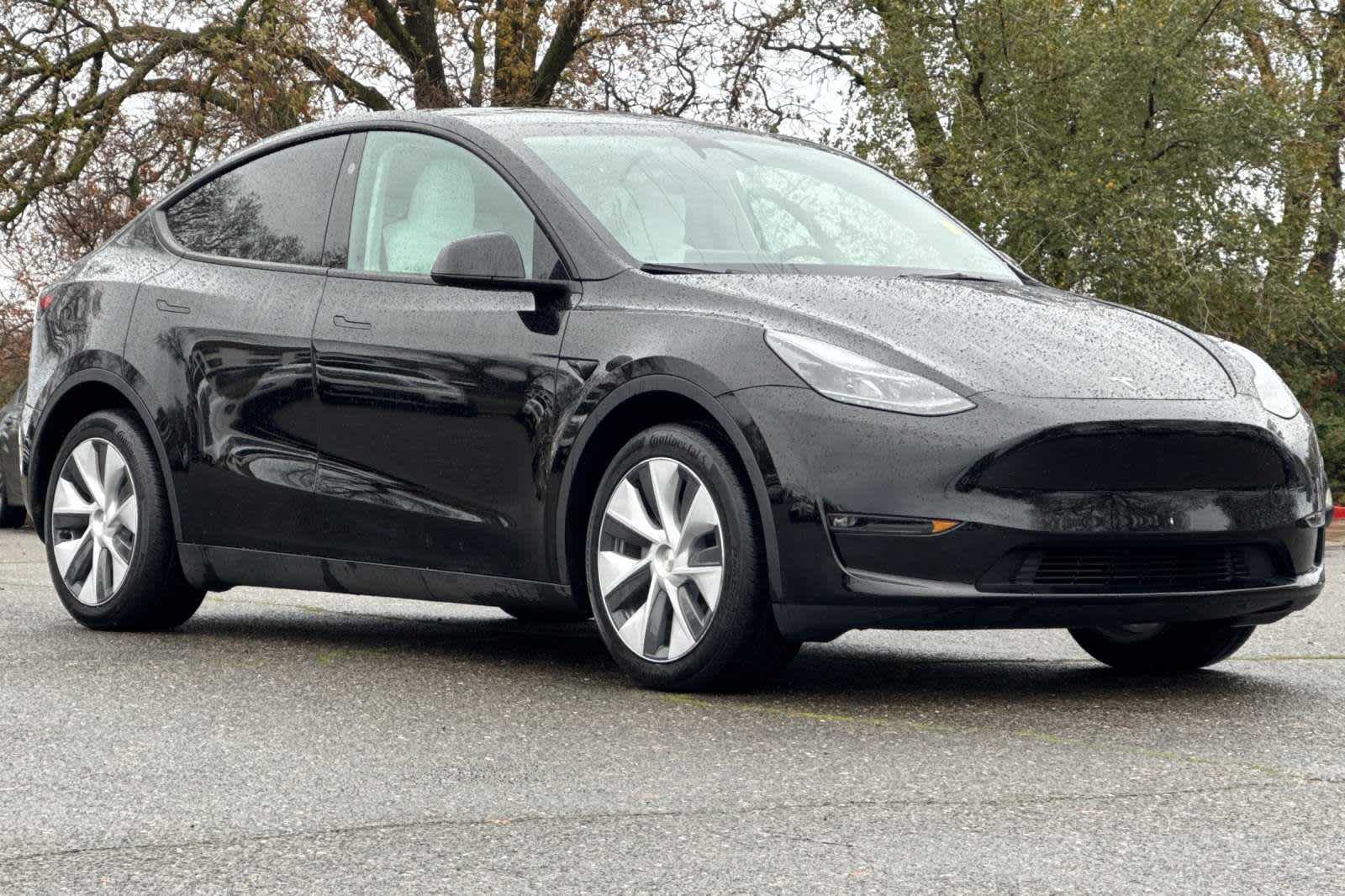 2024 Tesla Model Y Long Range 9