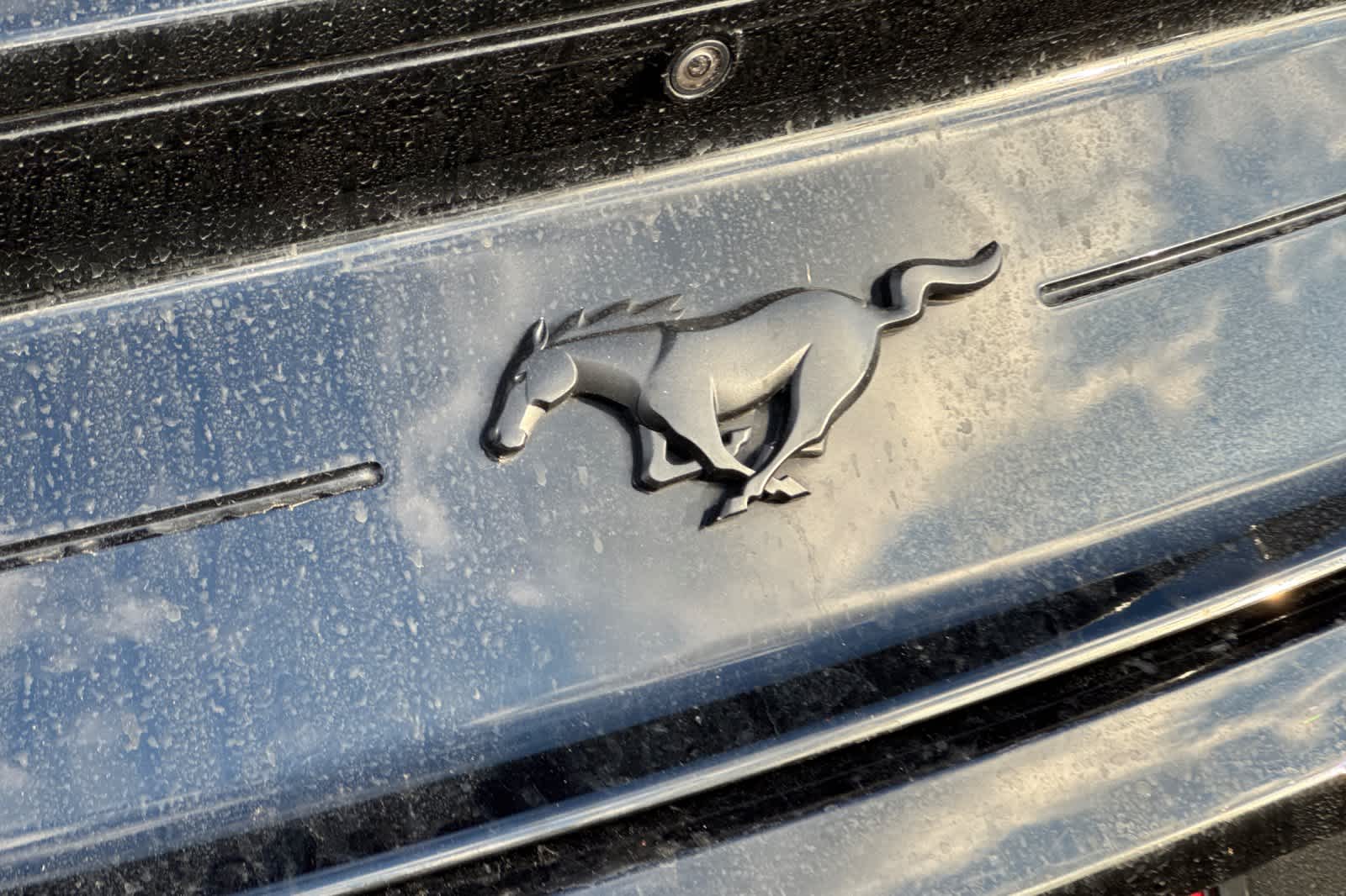 Thumbnail: 2022 Ford Mustang - 26