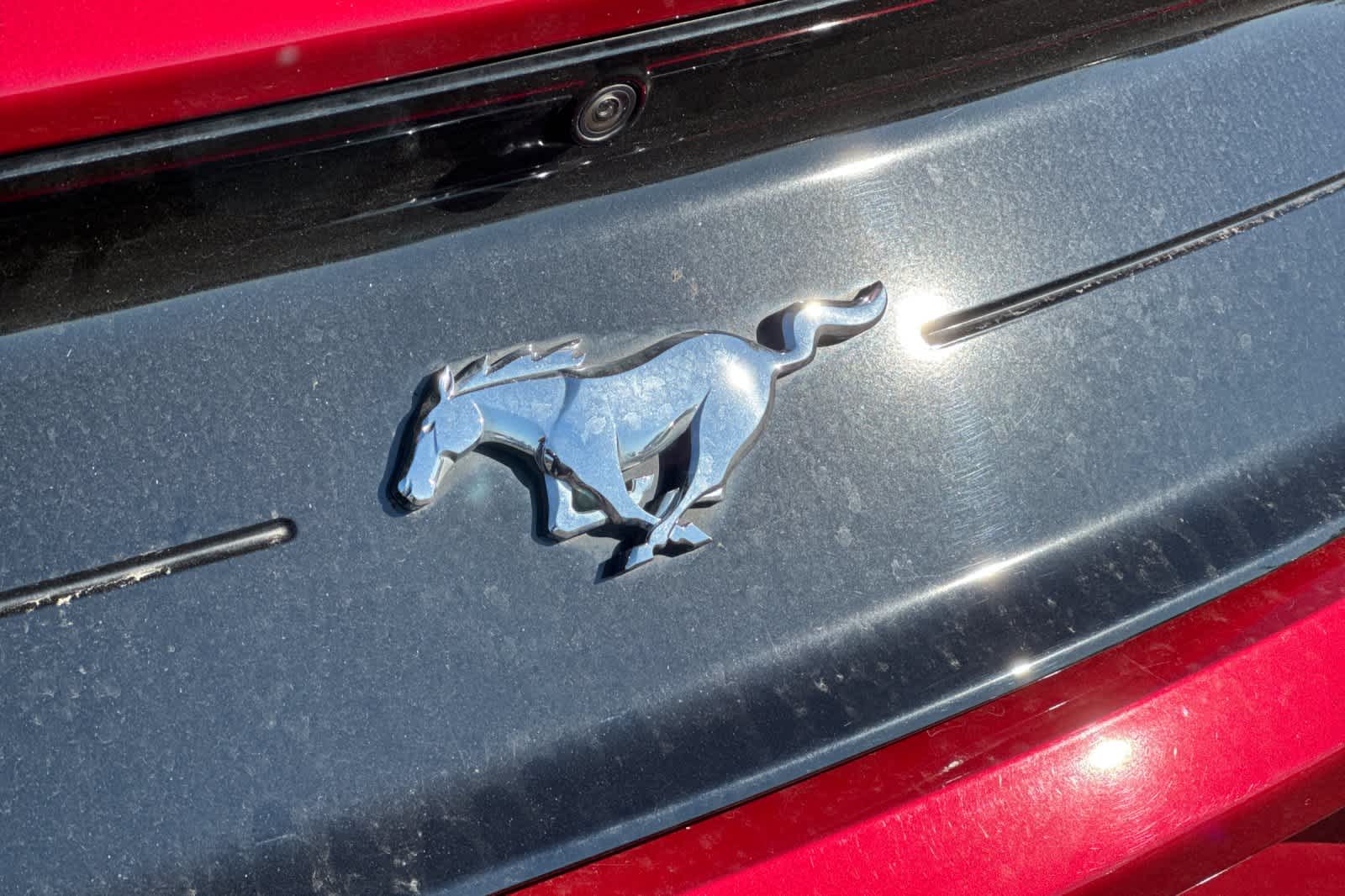 Thumbnail: 2022 Ford Mustang - 27