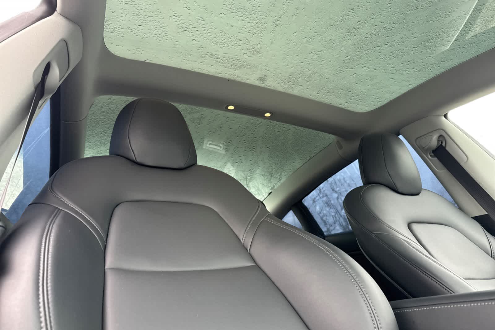 Thumbnail: 2019 Tesla Model 3 - 16