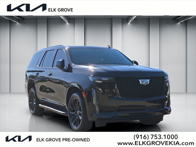 2023 Cadillac Escalade 4WD Sport's photo