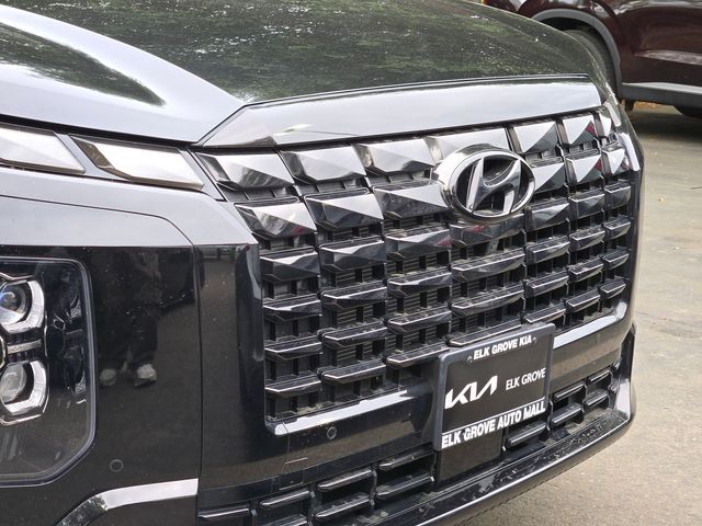 2025 Hyundai Palisade Calligraphy Night Edition photo 4