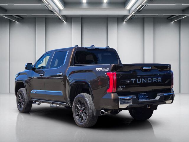 2024 Toyota Tundra i-FORCE MAX 1794 Edition photo 6