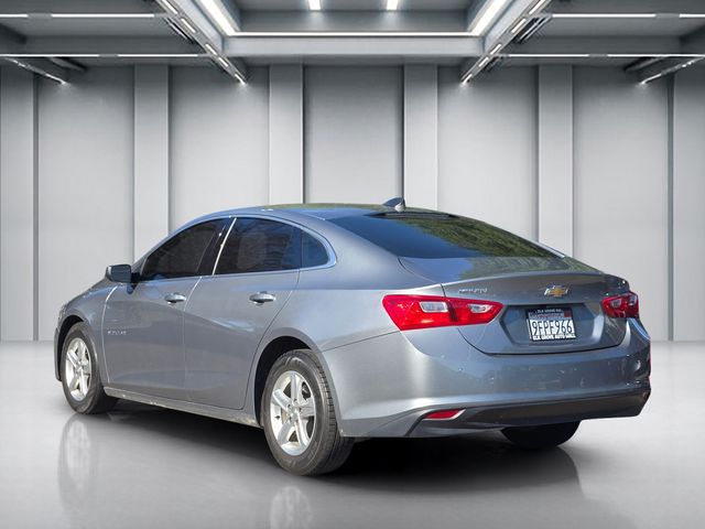 2023 Chevrolet Malibu LS w/1FL photo 6