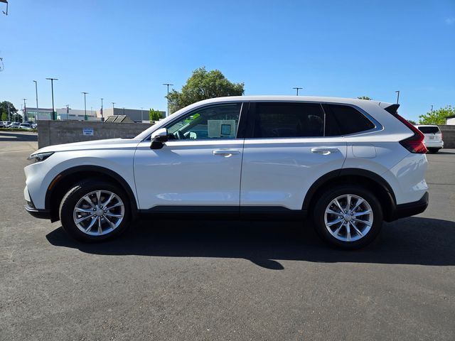 2024 Honda CR-V EX-L photo 6