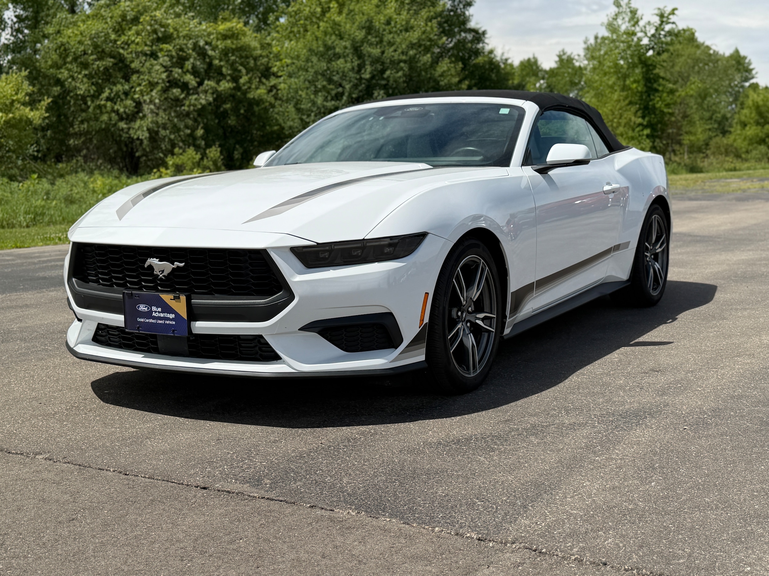2025 Ford Mustang EcoBoost Premium Convertible's photo