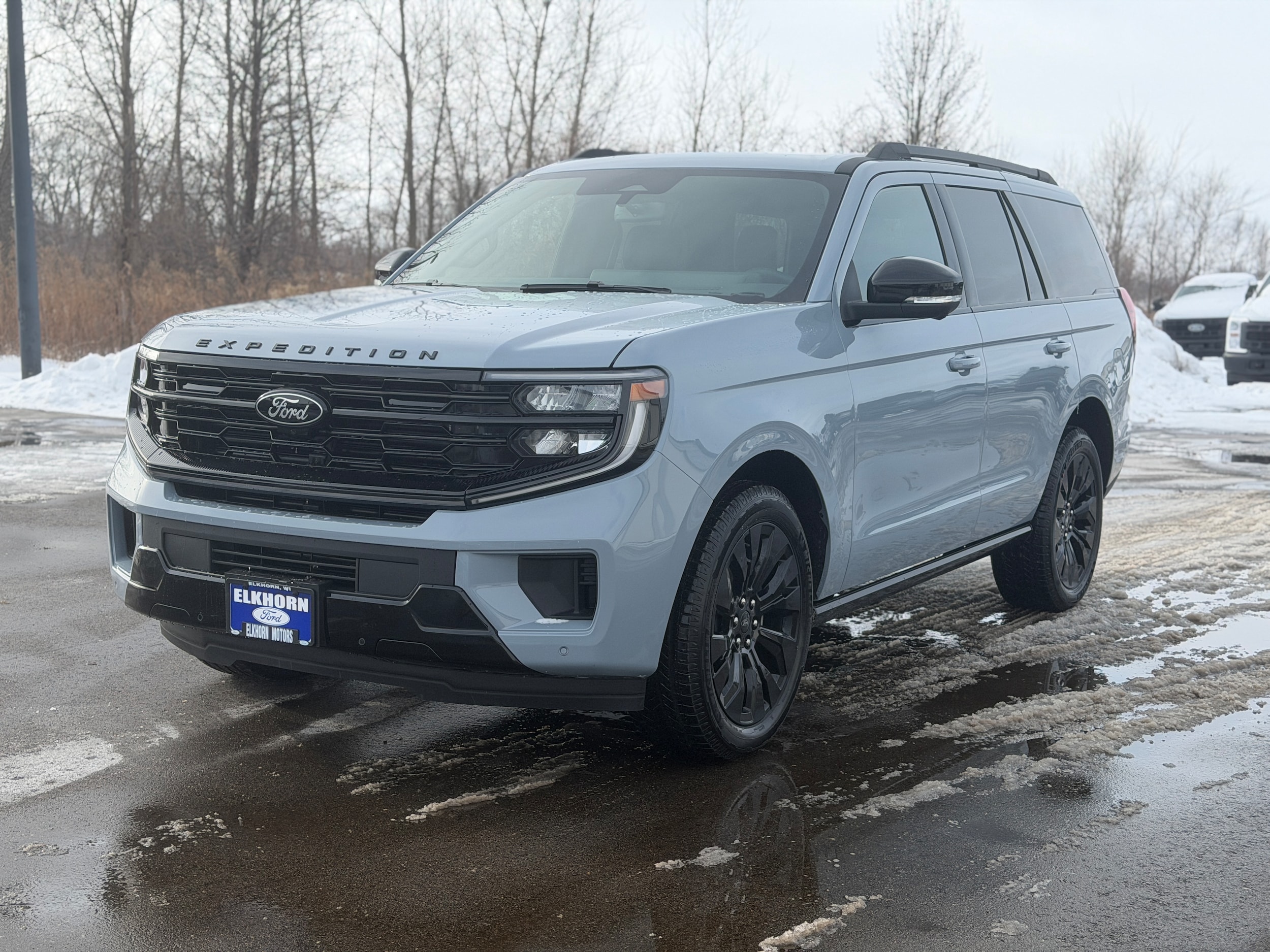 2025 Ford Expedition Platinum's photo