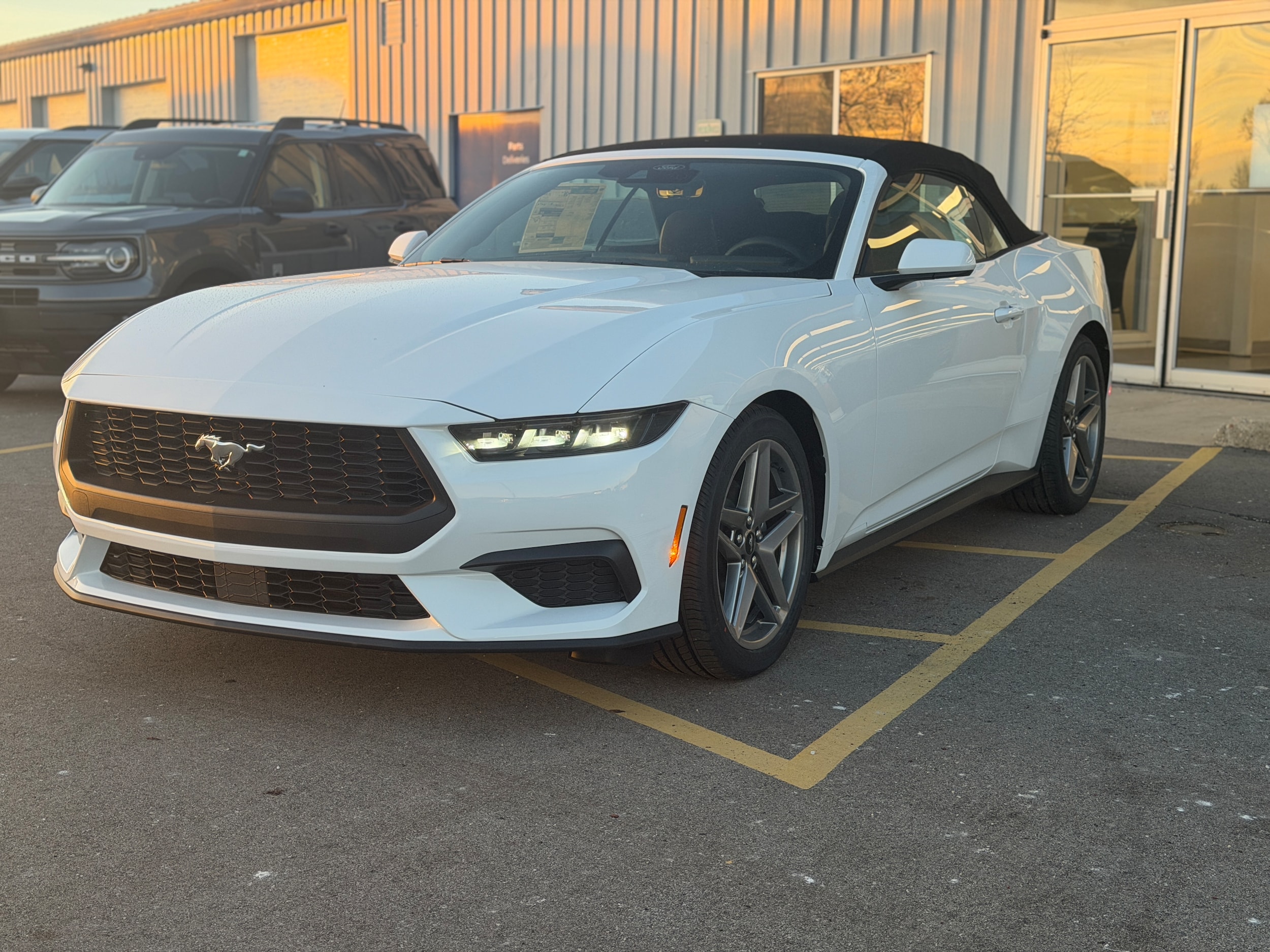 2026 Ford Mustang EcoBoost's photo