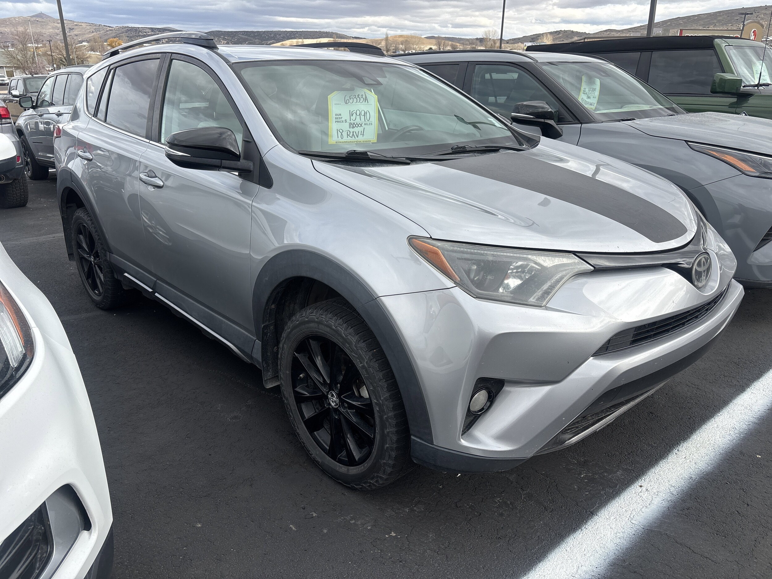2018 Toyota RAV4 Adventure XLE photo 3