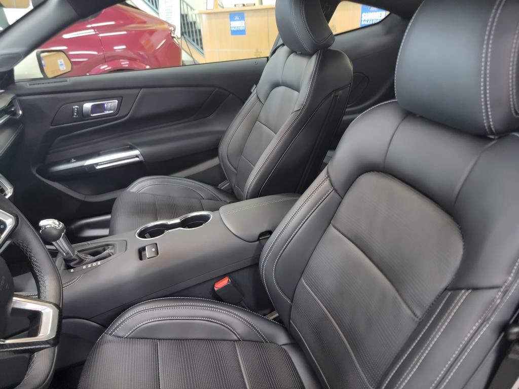 2025 Ford Mustang GT Premium - Photo 10