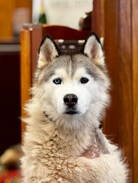 Staff member Apollo Harris from ID_4199db17d0d7