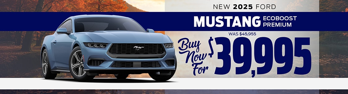 NJ DEALER MUSTANG SPECIAL