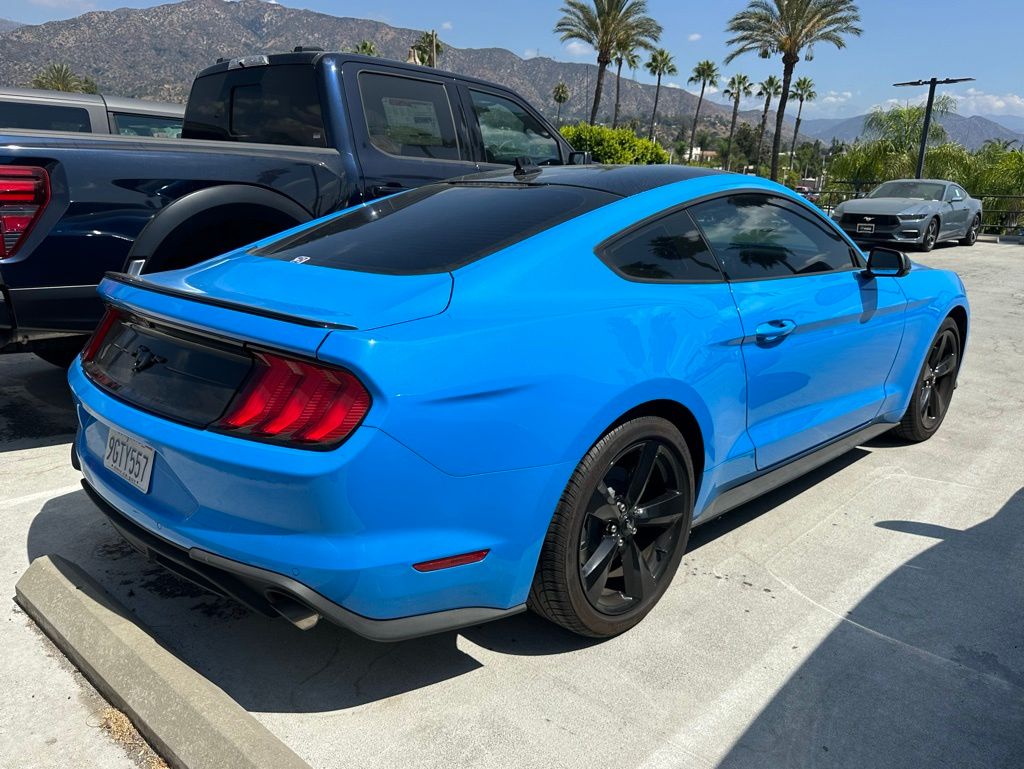 2023 Ford Mustang EcoBoost photo 4