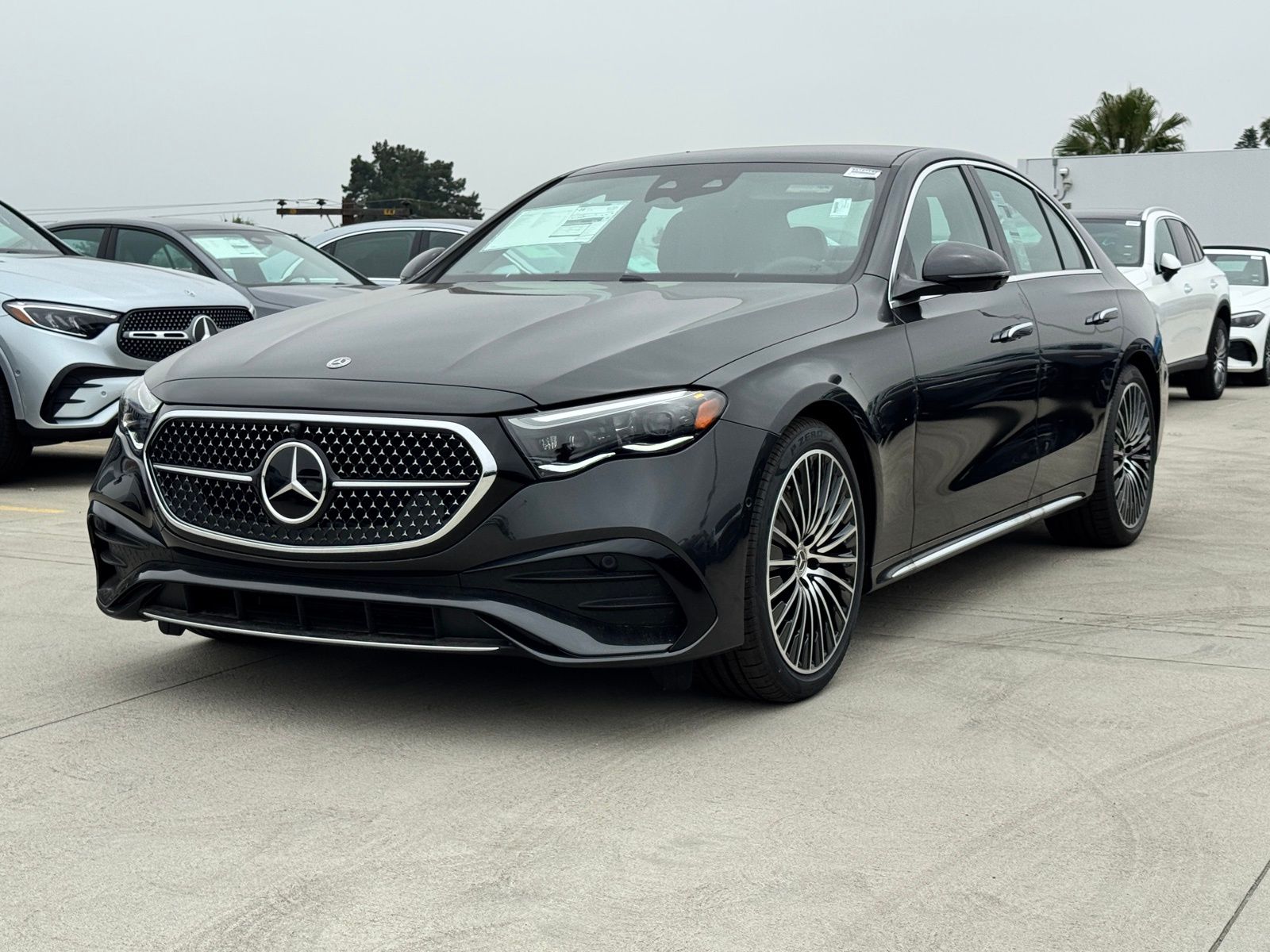 2025 Mercedes-Benz E-Class E350 - Photo 6