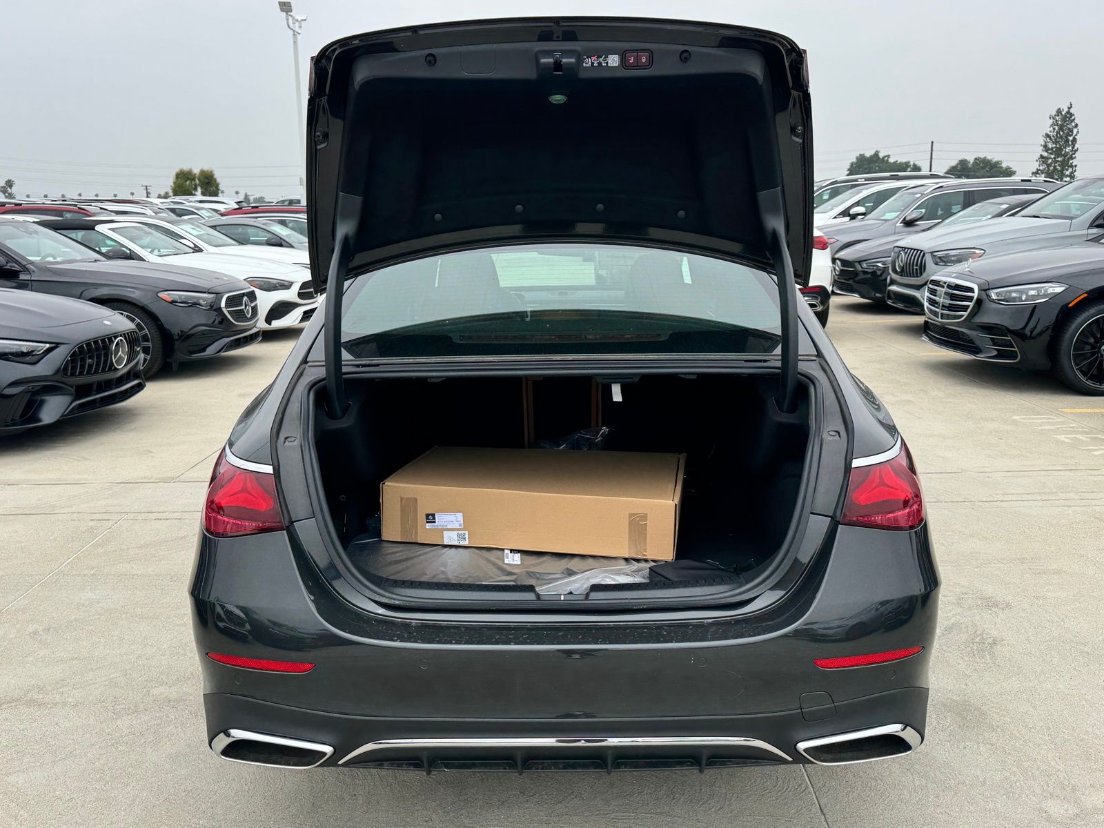 2025 Mercedes-Benz E-Class E350 - Photo 13