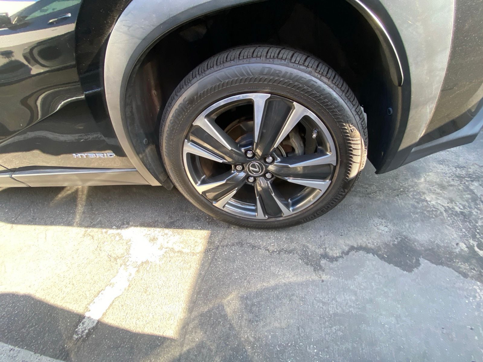 Photo 5