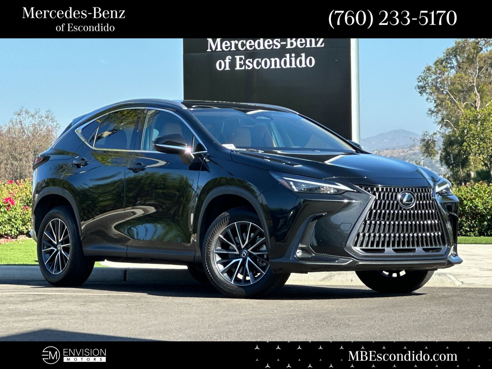 2024 Lexus NX