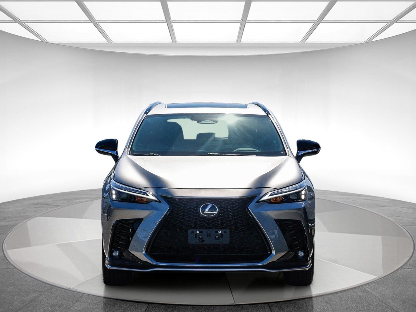 2024 LEXUS NX 350 F Sport Handling photo 5