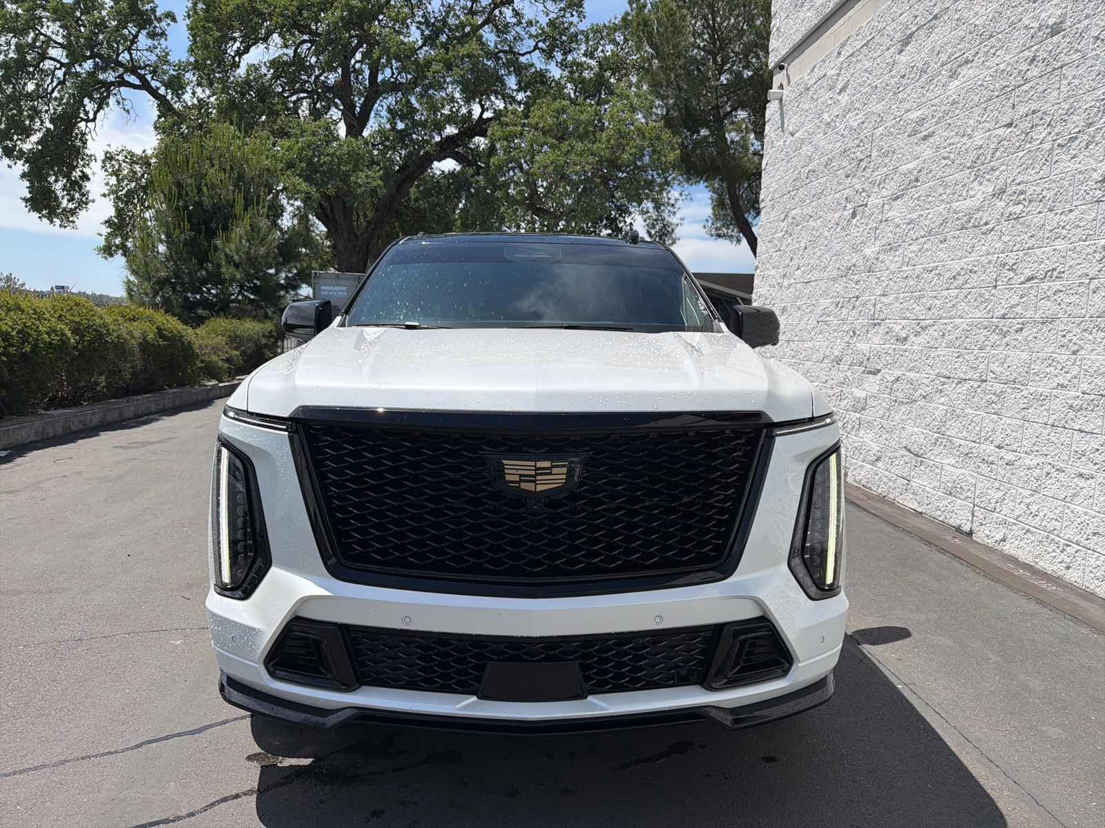 2025 Cadillac Escalade ESV V-Series photo 2