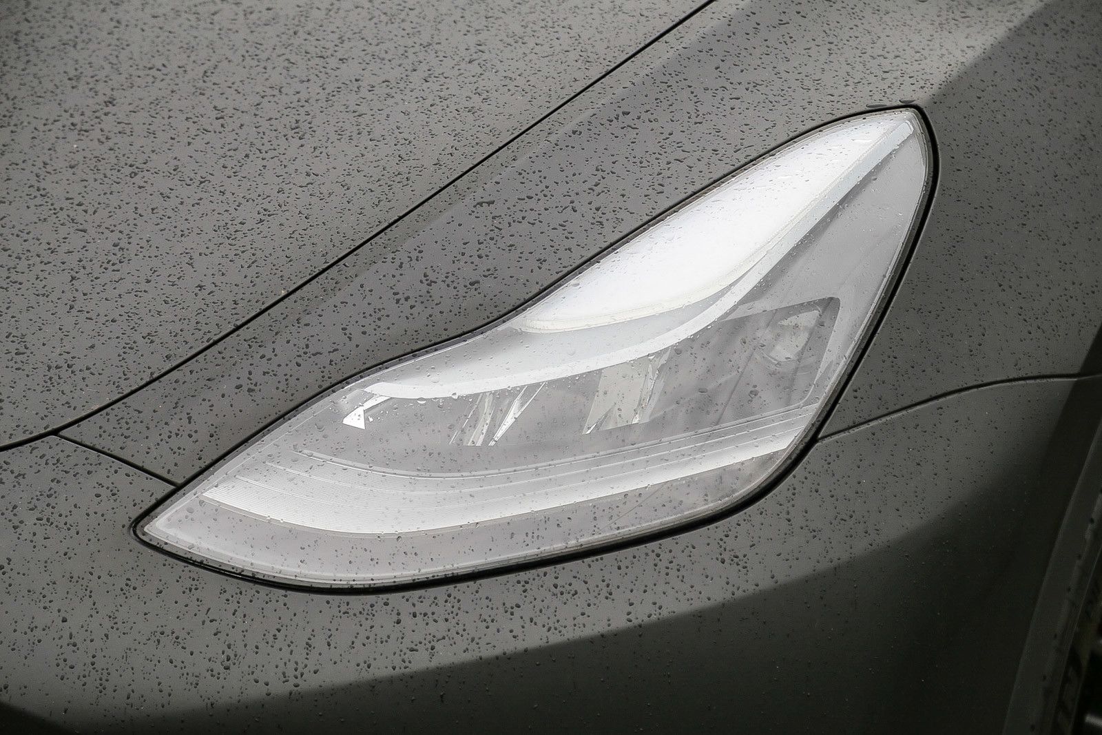 2024 Tesla Model Y Performance photo 6