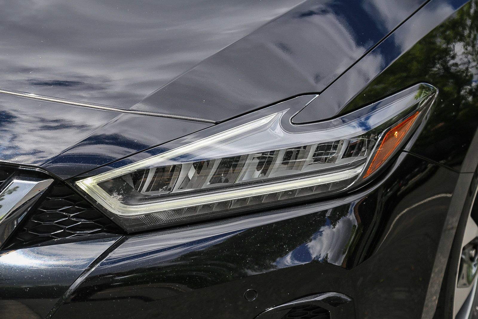 2023 Nissan Maxima Platinum photo 6