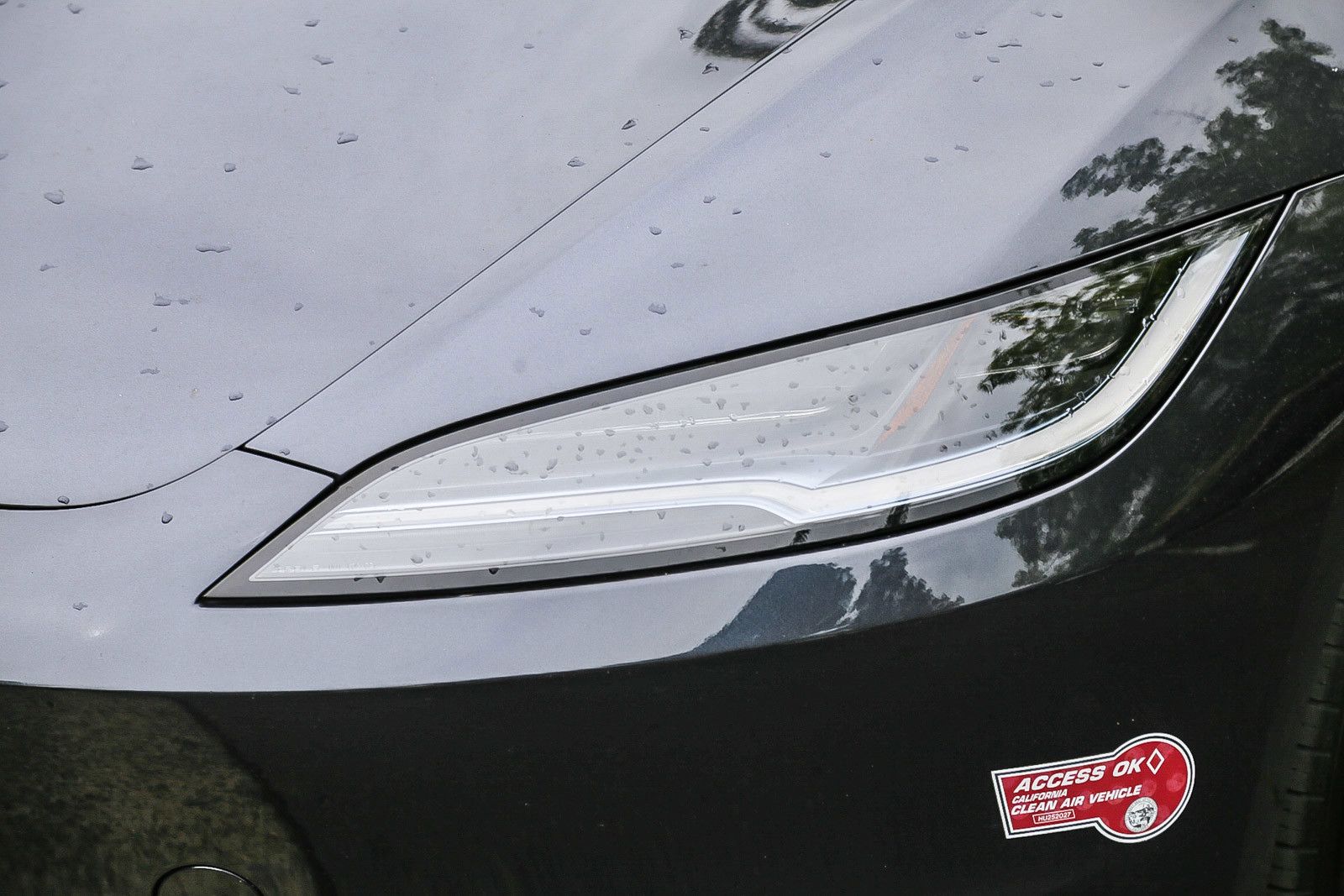 2024 Tesla Model 3 Base photo 6