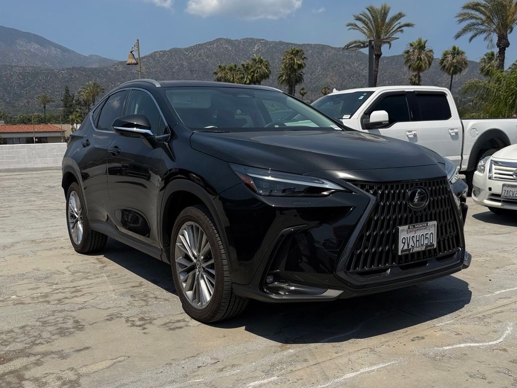 2025 Lexus NX 350 350 Luxury AWD's photo