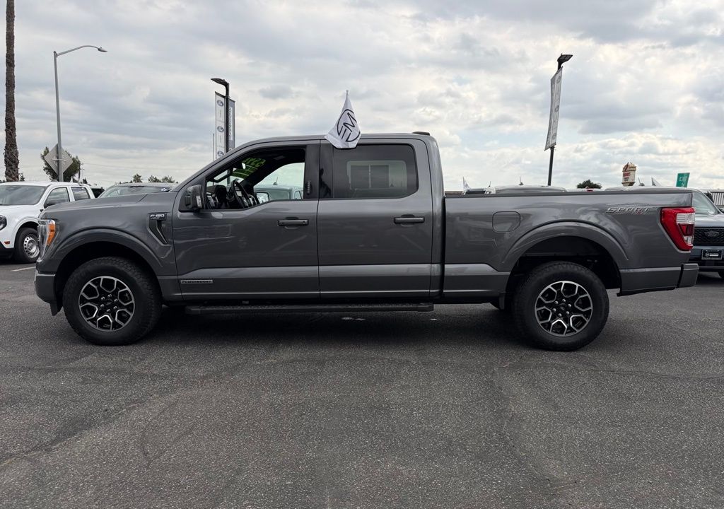 2023 Ford F-150 XLT photo 4