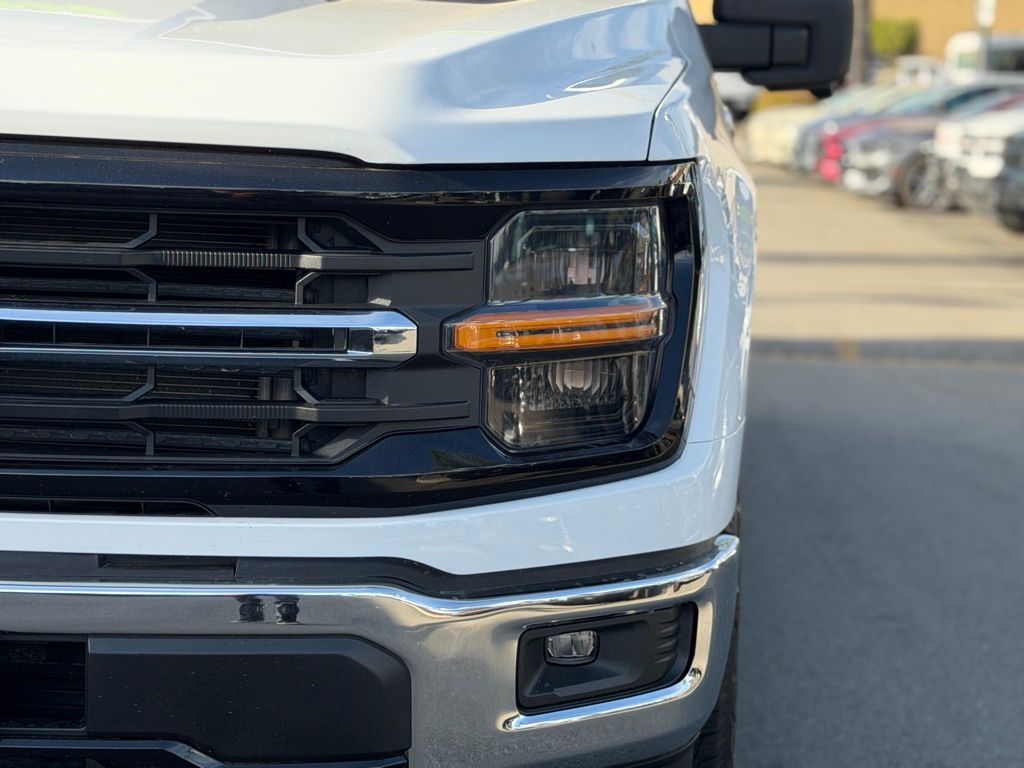 2024 Ford F-150 XLT photo 6