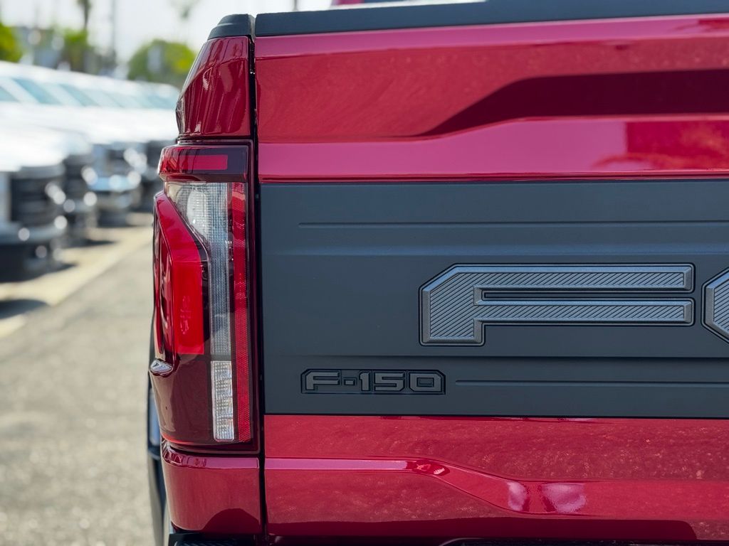 2025 Ford F-150 Raptor - Photo 14