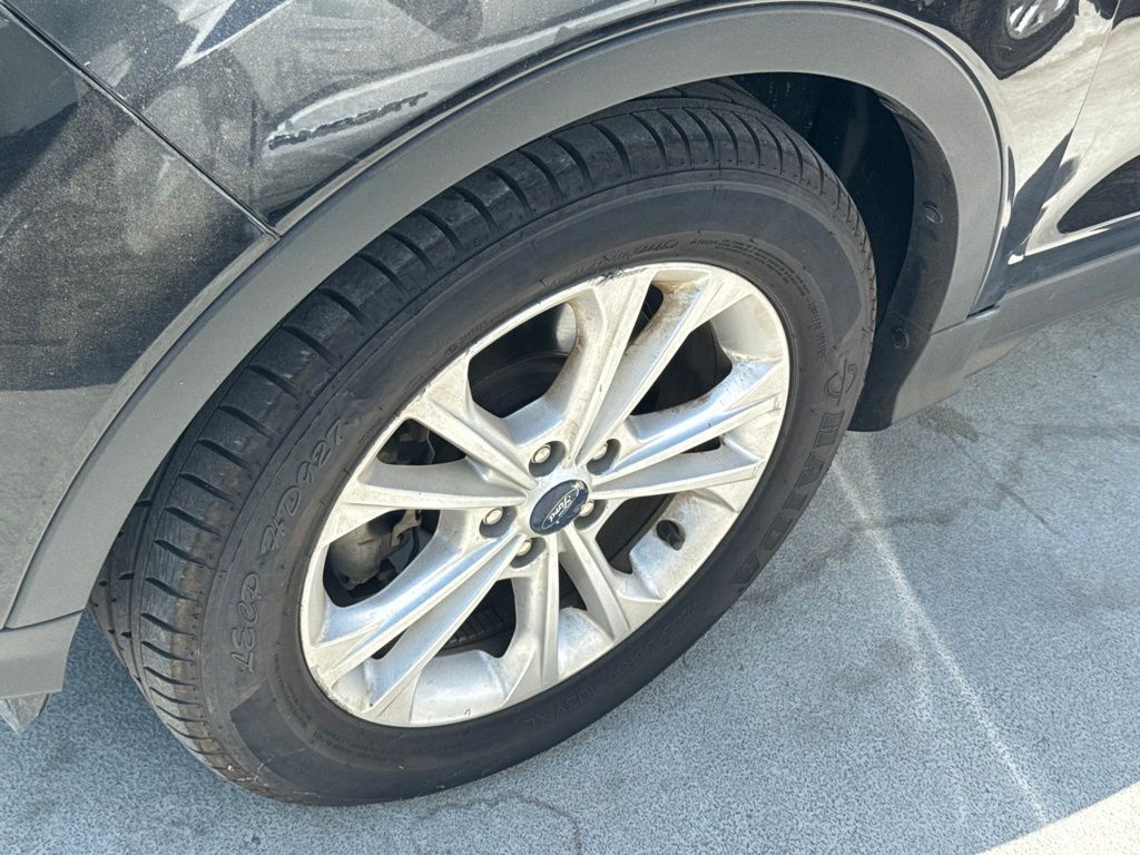 Photo 5