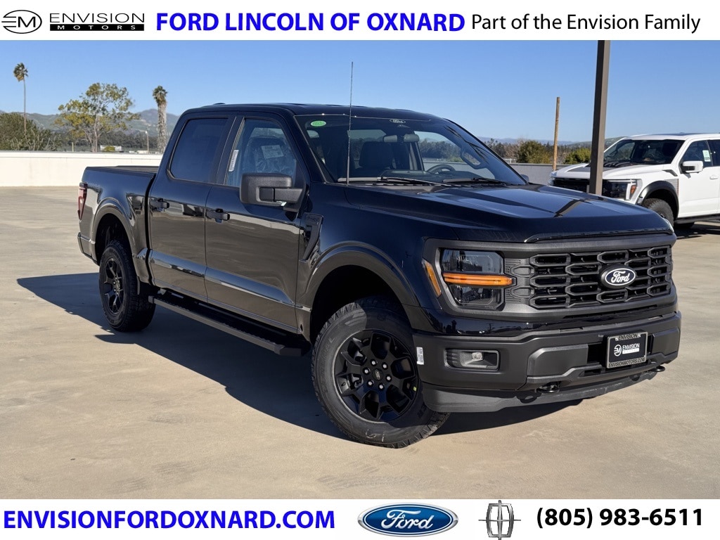 2025 Ford F-150 STX's photo