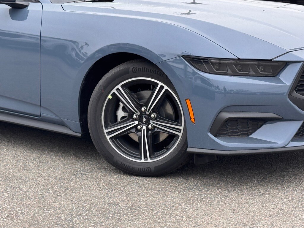 2025 Ford Mustang EcoBoost Premium photo 4