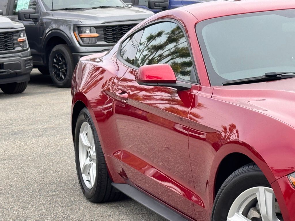 2019 Ford Mustang photo 4