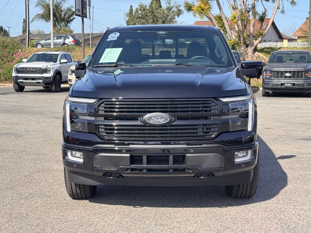 2025 Ford F-150 Platinum photo 5