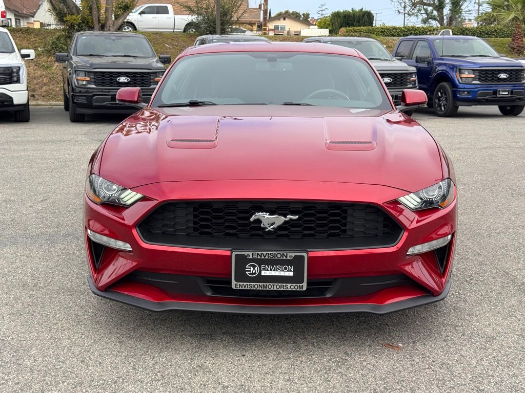 2019 Ford Mustang photo 5