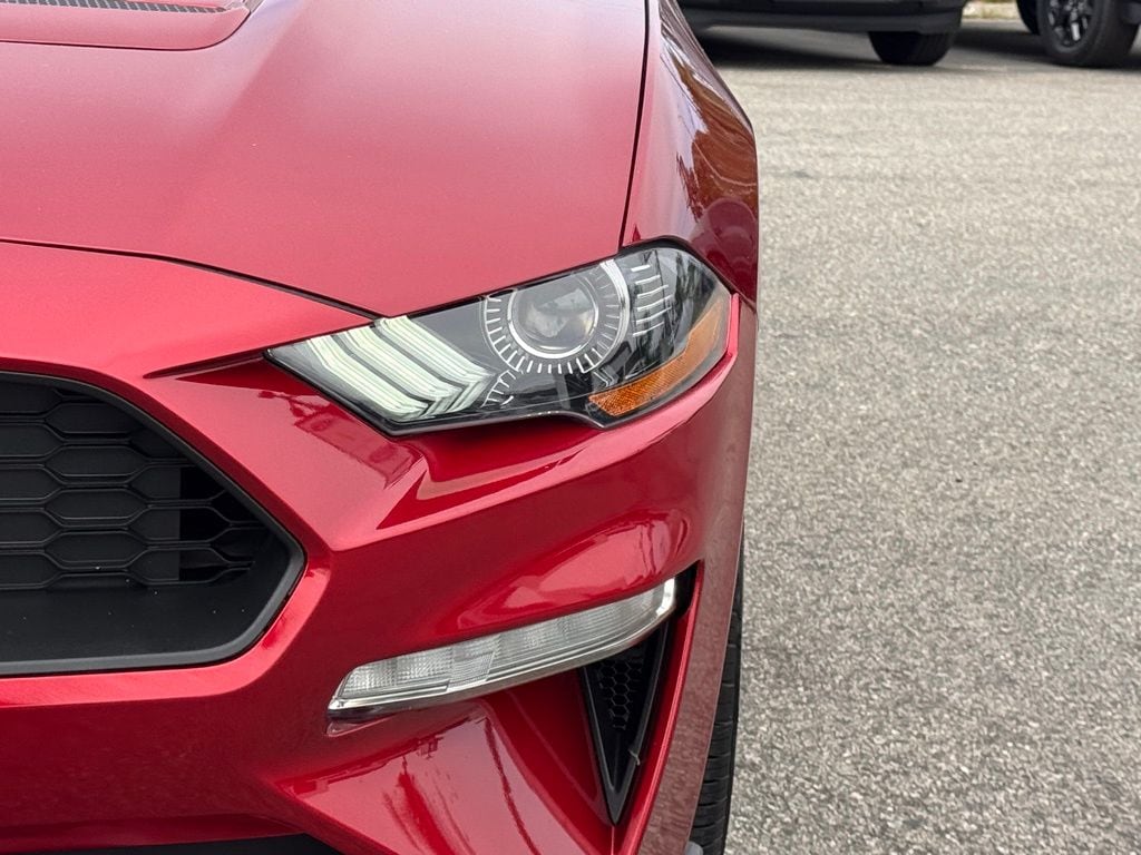 2019 Ford Mustang photo 3