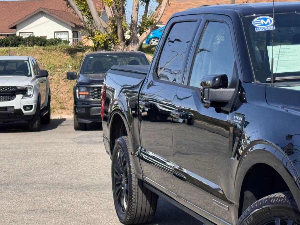 2025 Ford F-150 Platinum photo 4