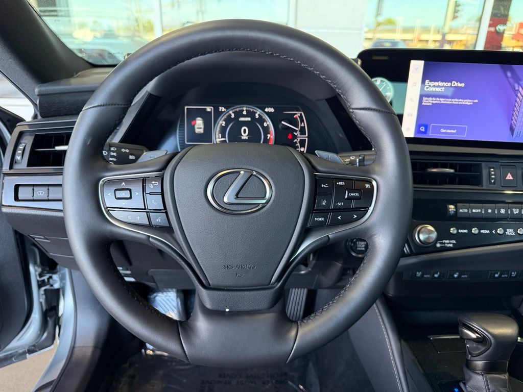 2024 Lexus ES 250 - Photo 23