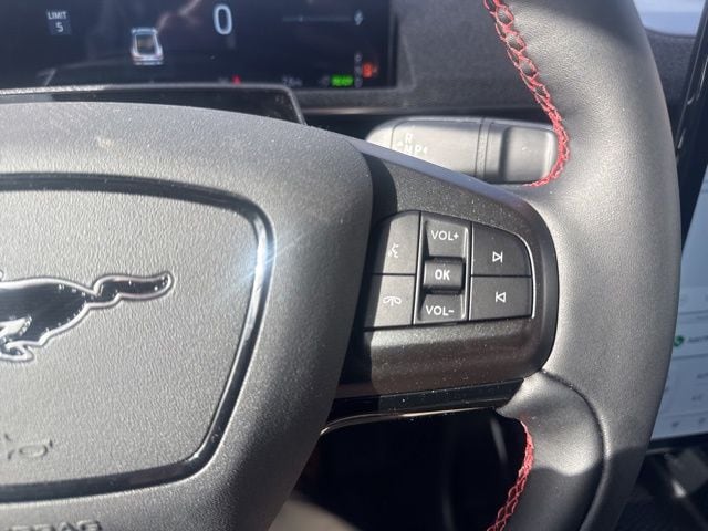 2025 Ford Mustang Mach-E Premium - Photo 29