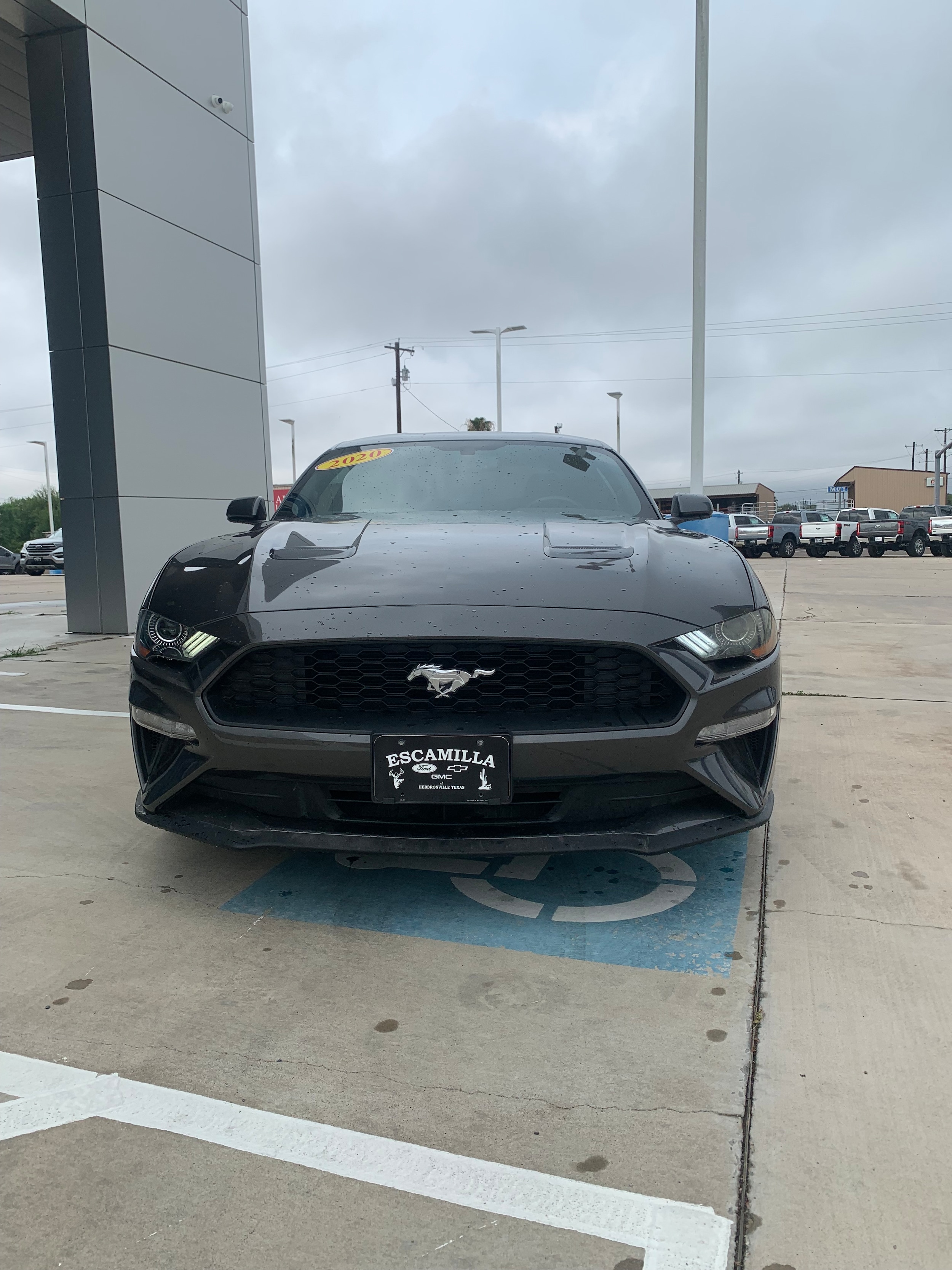 Used 2020 Ford Mustang EcoBoost with VIN 1FA6P8TH9L5179013 for sale in Hebbronville, TX