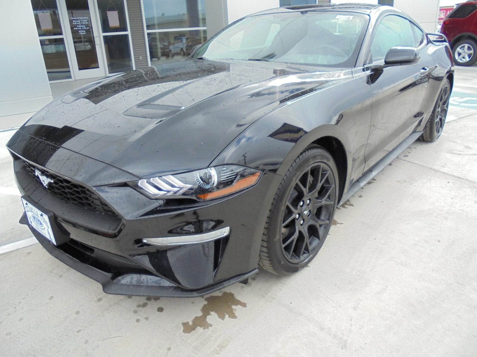Cars For Sale Laredo Tx >> New Ford Mustang for Sale in Laredo, TX - CarGurus Cars For Sale Laredo Tx >> New Ford Mustang for Sale in Laredo, TX - CarGurus