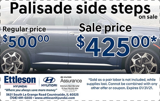 Palisade Side Steps | Ettleson Hyundai