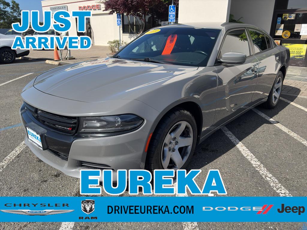 2019 Dodge Charger 3.6 Police Package (Fleet)'s photo