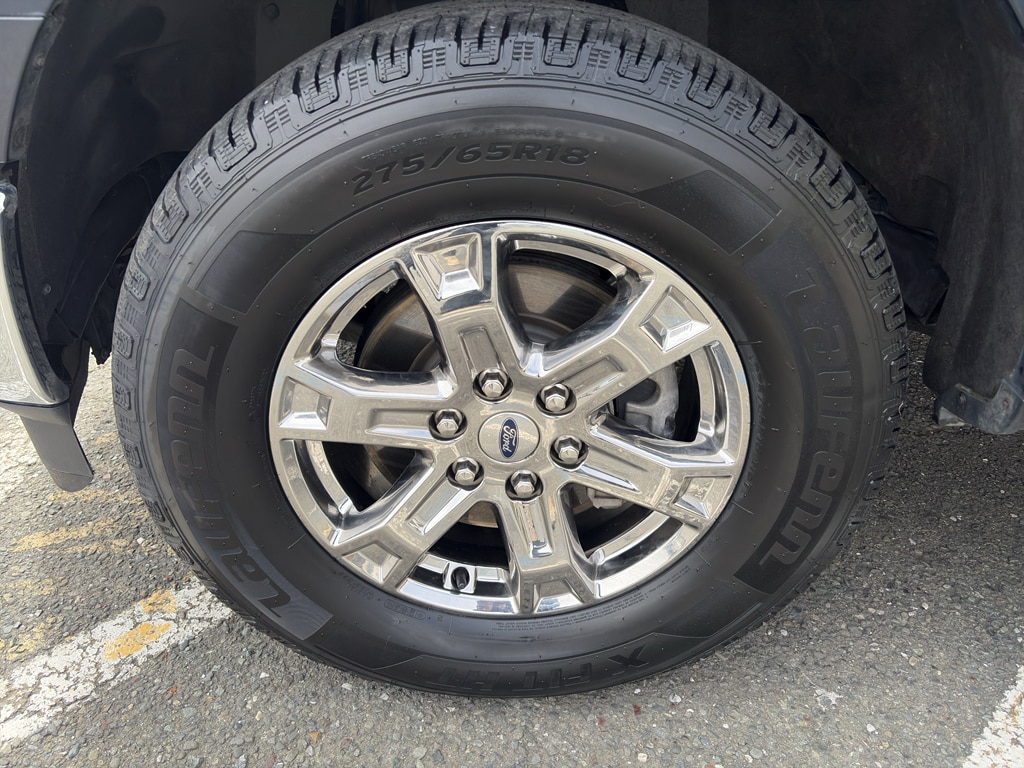 1FTFW1ED9PFB56295