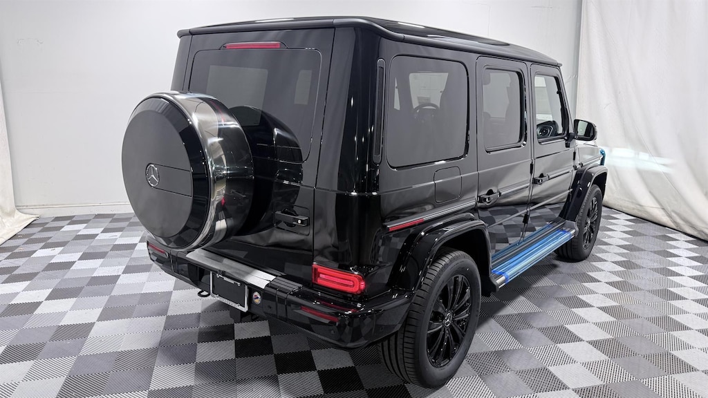 Black Panther Party at Harlem Cultural Festival