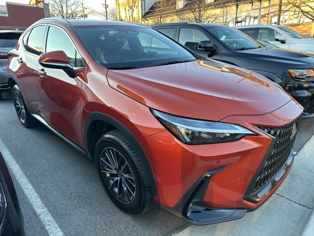 2024 Lexus NX 350's photo