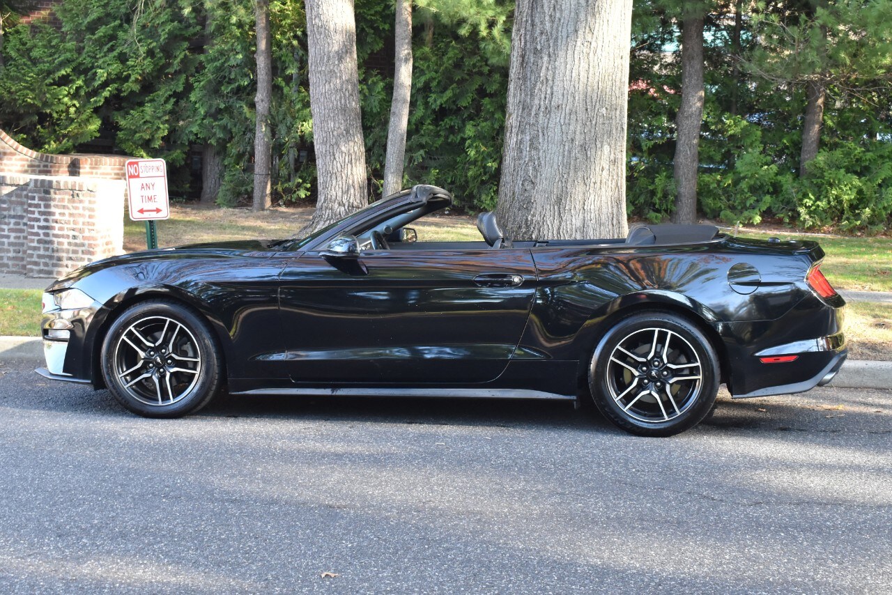 2019 Ford Mustang EcoBoost Premium Convertible photo 3