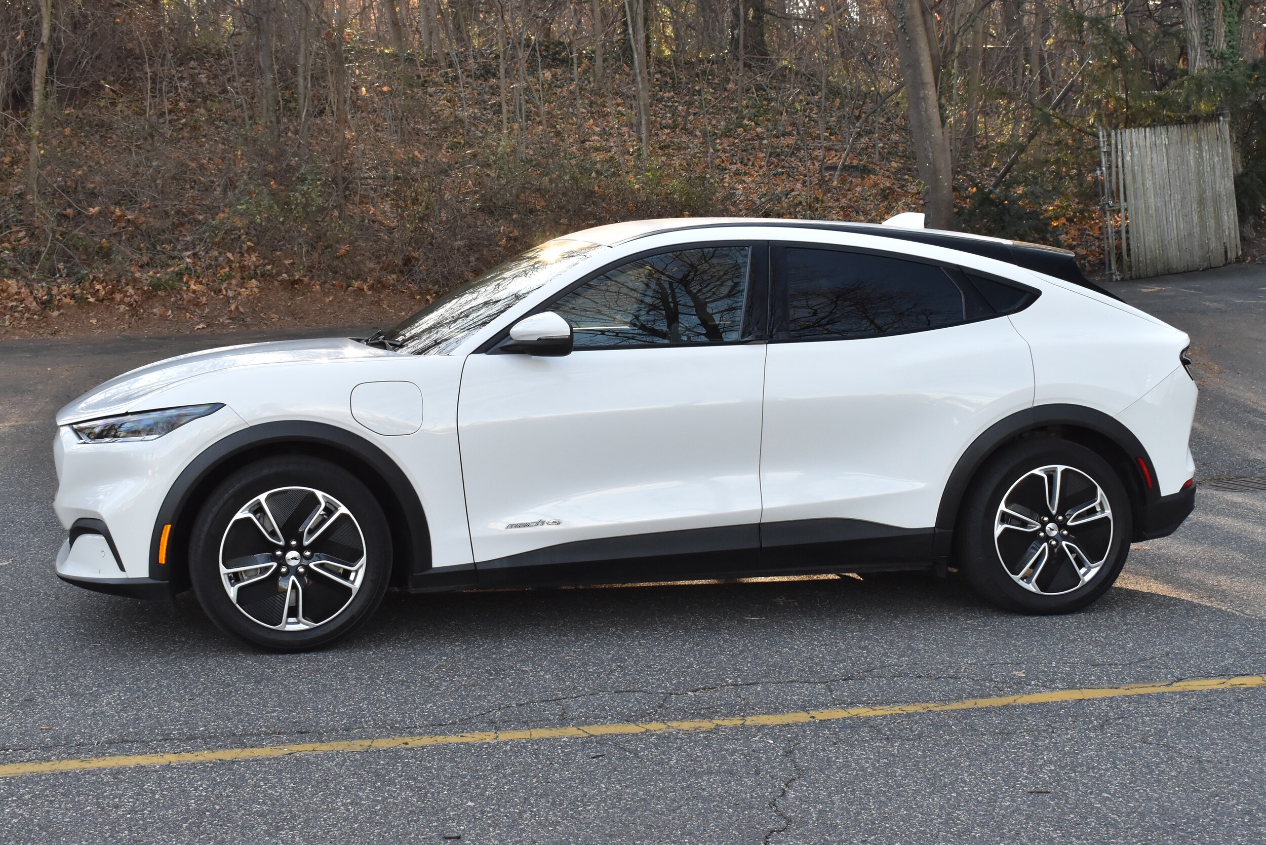 2022 Ford Mustang Mach-E Select photo 2